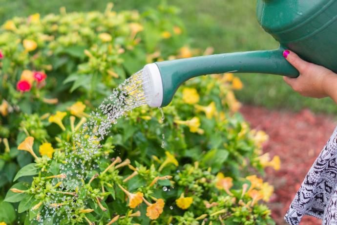 فروشگاه آنلاین آبیاری جی سان